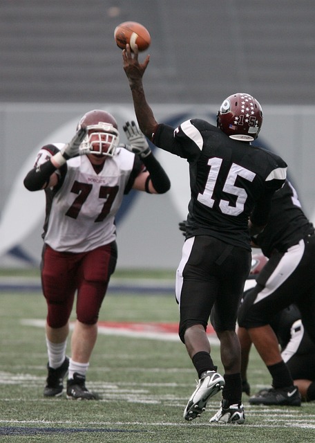 的球迷松了
